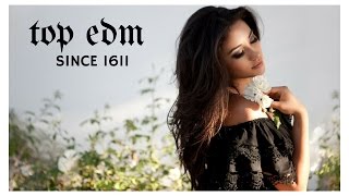 BEST MUSIC MIX 2017   TOP EDM 2017 new   BY SUCCESS VIETNAM