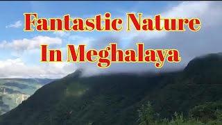 A  Fantastic Nature, Meghalaya, India.