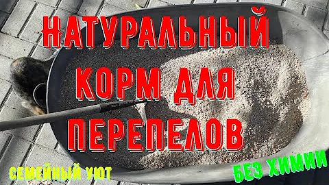 Хватит переплачивать за комбикорм. Корм для перепелов. Домашний комбикорм
