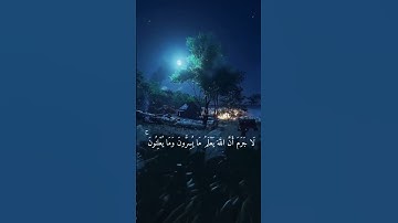 سورة النحل 🤍| الشيخ ياسر الدوسري