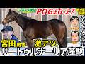 【POG2026-27⑤】注目２歳馬６頭を厳選紹介！上村＆宮田厩舎を取材して見つけた“隠し玉”候補は！？