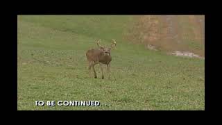 Westervelt Wildlife Wisdom, Preparing Food Plots   Part 1