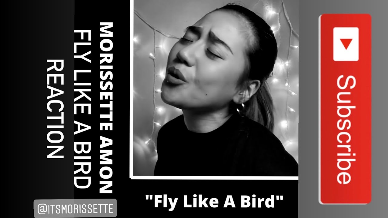 MORISSETTE AMON Fly Like A Bird COVER REACTION 