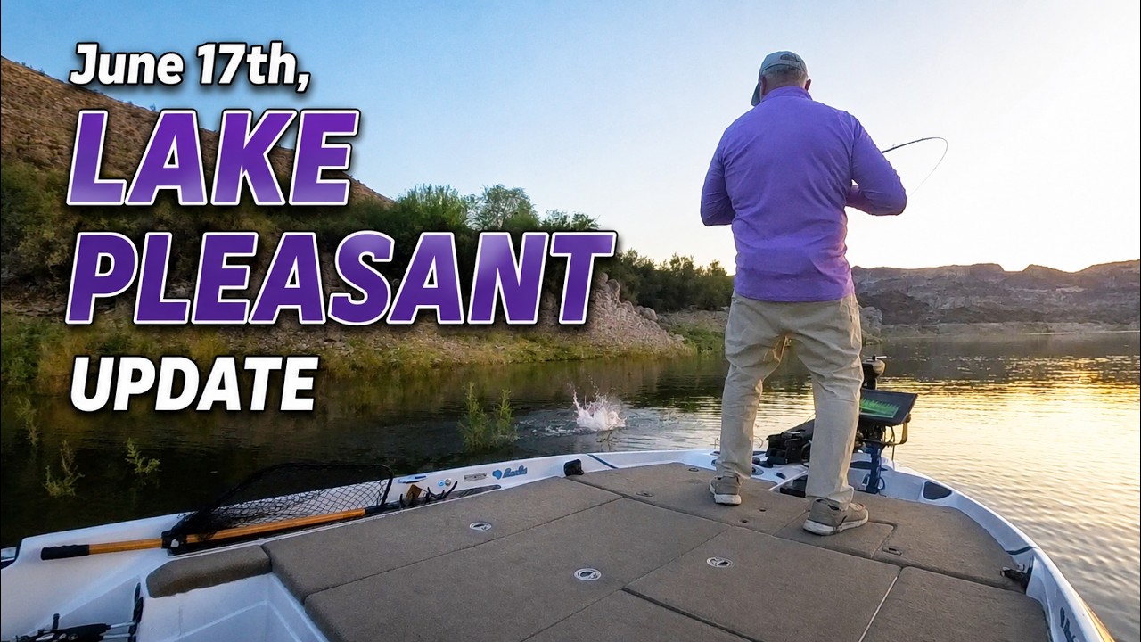 Lake Pleasant Bass Fishing Report: Topwater Struggles, Drop Shot Delivers