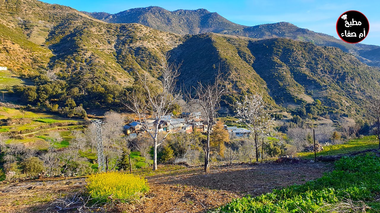 تمديت يا نوارة فلوڨ خفيف ظريف من أعالي جبال الريف