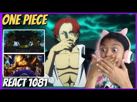 REACT: ONE PIECE EPISÓDIO 1081/SHANKS VAI ATRÁS DO ONE PIECE