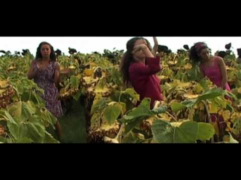 "amarillo" - Cortometraje de danza.