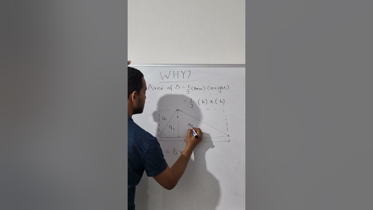 area-of-triangle-1-2-base-height-youtube