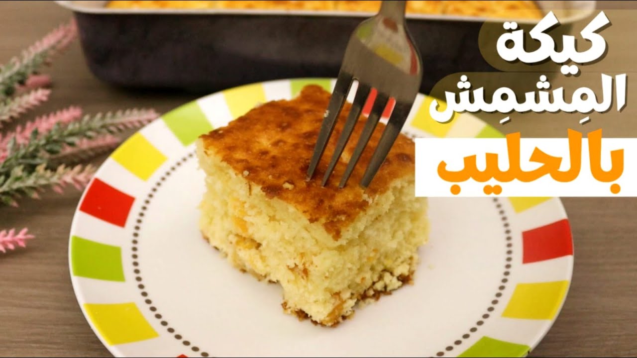 أسرع كيكة بالمشمش المجفف والحليب سهلة وبمذاق لذيذ- أطباق عبيرEasy cake with dried apricots and milk