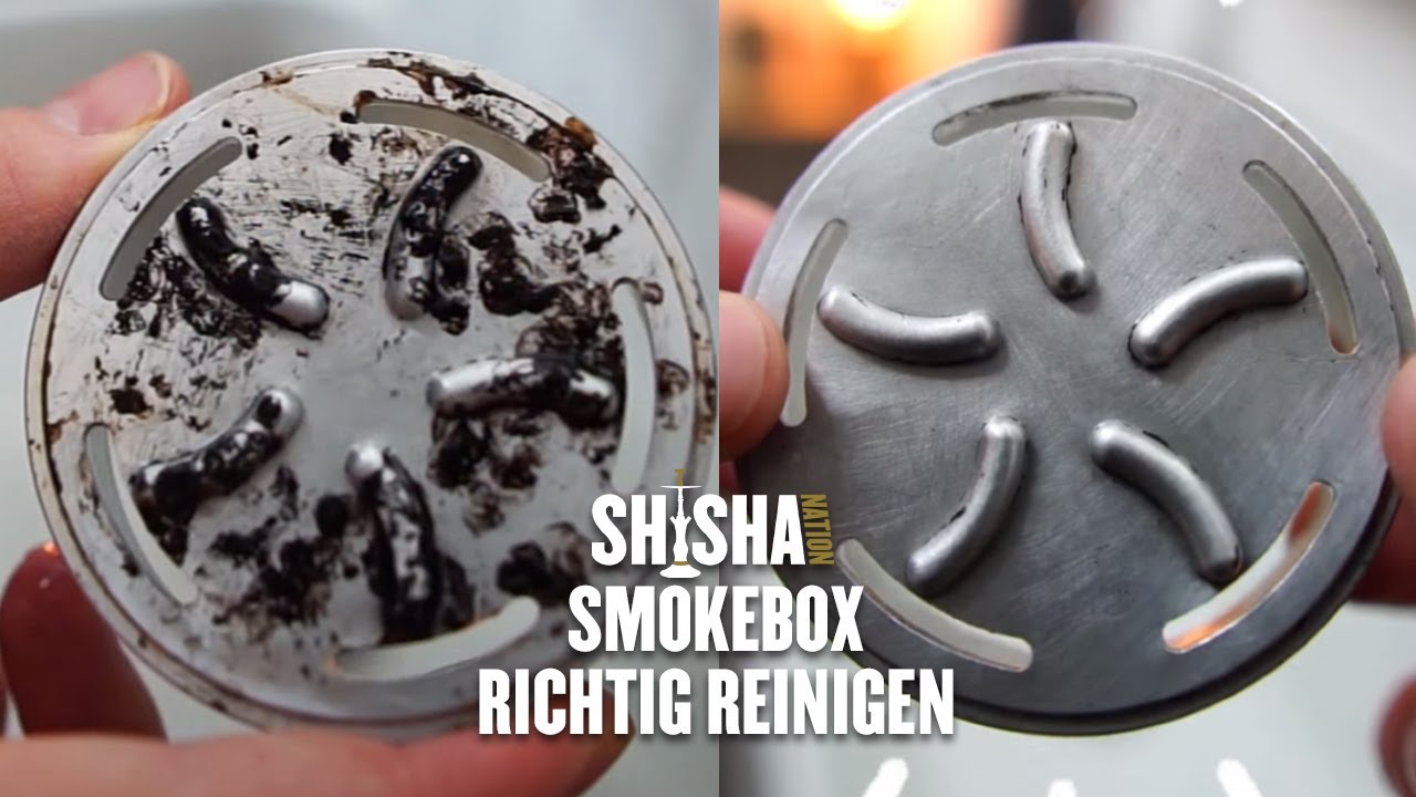 HMD/ Smokebox richtig Reinigen 🧽 by SHISHA NATION