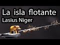 Lasius Niger en la Isla Flotante sin Gravedad / Aventuras de Hormigas en la Cuerda Floja