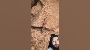 #quran #الشيخ_سعود_الشريم #تلاوة_خاشعة #المصحف #اكسبلور #تيك_توك #duet #allahsong #shortvideo #love