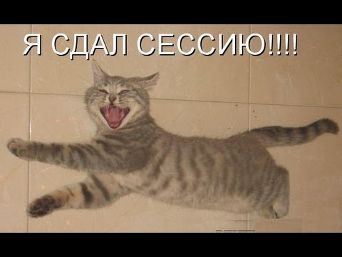 С днем закрытой сессии мем