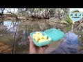 Using cheese to catch Murray Cod