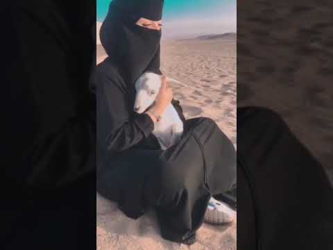 نادر الشرير لازلت أنا المغرم