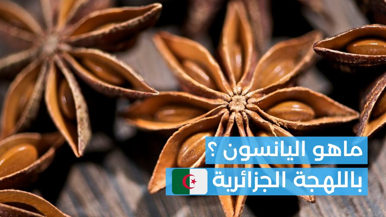 ماهو اليانسون باللهجة الجزائرية - YouTube 