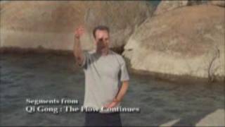 Qi Gong: The Flow Continues with Lee Holden