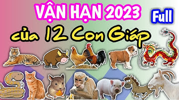Vận Hạn của 12 Con Giáp trong năm 2023 chi tiết - Vận Hạn 2023 @Luangiai12congiap