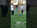 Epic Backyard Fun: Zipline, Tarp Slide & Slip 'n Slide Madness! #shorts