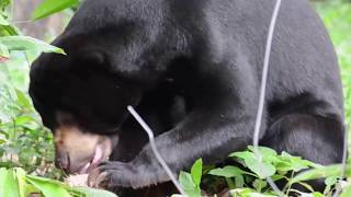 From near death to healthy and handsome - Mokiup screenshot 5