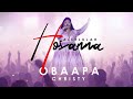 Hallelujah Hosanna - Obaapa Christy (Lyric Video)