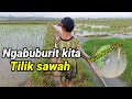Ngabuburit kita tilik sawah 😁#sawahebanjir #menunggubukapuasa