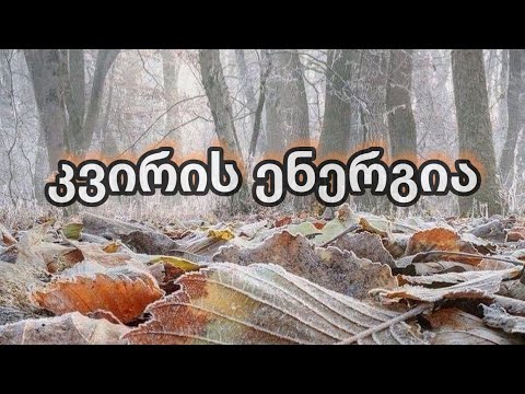 15 января 2024 г.