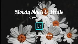How to edit Moody black & White photography | Mobile Lr preset DNG | free download screenshot 1
