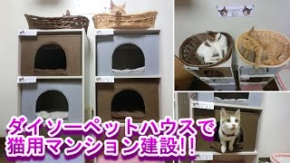 [ダイソー ペットハウス]で 猫用マンション建設してみた。