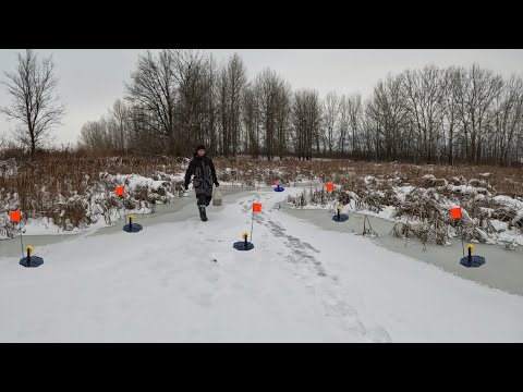 Видео: БЕЗУМИЕ! ЩУКИ ВМЕСТО ЖИВЦА! Я в Шоке от этой рыбалки! Первый лед 2023 -24. Жерлицы.