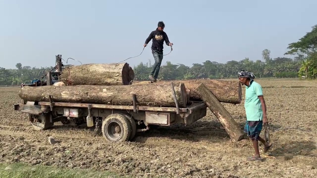 Wood is processed at a wooden architectural factory