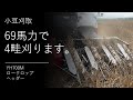 【ロークロップ】意外と知らない小豆あずきの収穫風景