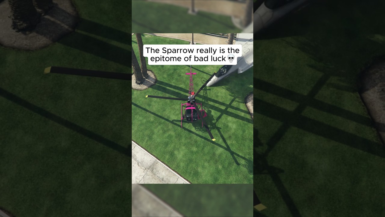 I hate the Sparrow😭💀 