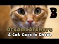 Dreamcatchers a pawsome cat cafe in ghent  bite sized belgium