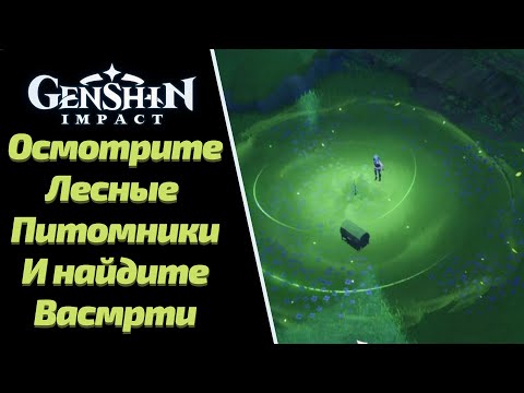 ОСМОТРИТЕ  ЛЕСНЫЕ ПИТОМНИКИ И НАЙДИТЕ ВАСМРТИ | ОТНЕСИТЕ ЕГО В ПИТОМНИК ВАНАРАНЫ ВЫРАСТИТЬ КИПАРИС