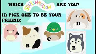 Amelia's party quiz - Squishmallow - which one are you?