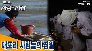 [사람과사람] 대포리사람들의 정월 | 19870302 KBS방송