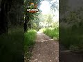 senderismo hiking #bushcraft #fishing #survival #pesca #edc #viral #youtubeshorts