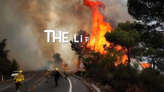 Forest Fire Awareness Video