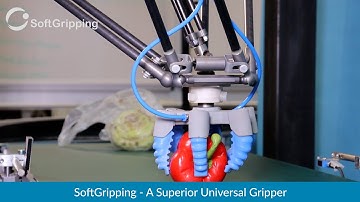 #SoftGripping - High-Speed Pick&Place [Delta Robot]