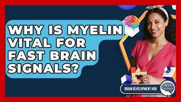 Why Is Myelin Vital For Fast Brain Signals? - Brain Development Hub