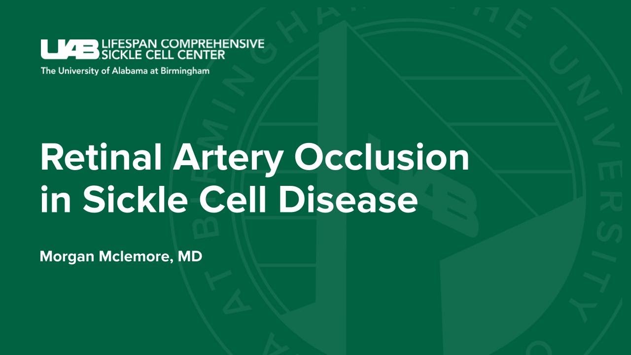 EMBRACE SCD Project ECHO 4/25/23 YouTube