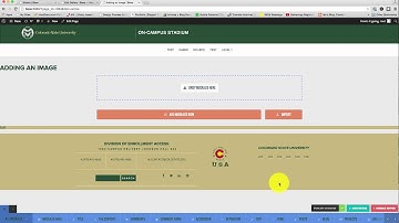 Adding An Image In Live Composer