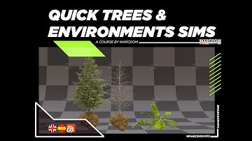 Quick Houdini |  Tree & environment simulations