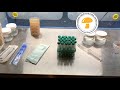 Breeding mushrooms part 1 serial dilutions and isolating haploids