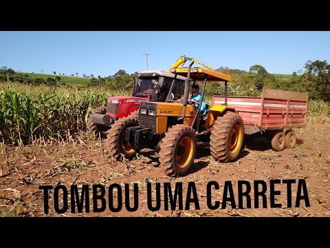 silagem de milho 21/21