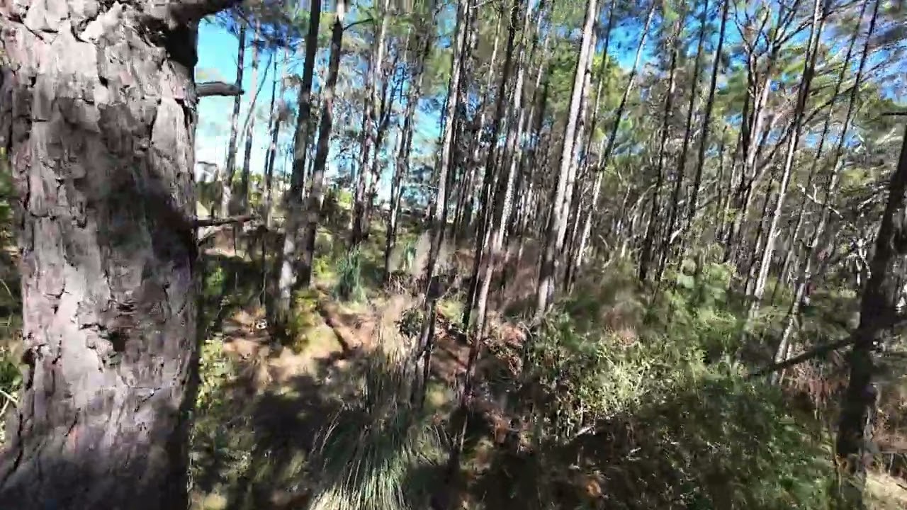 Beginner FPV Drone Ride-Along | DJI Avata 2 + Goggles 3 | Central Coast FPV