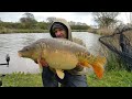 Carp Fishing Isle of Wight Mirror Carp Southcoast Hampshire United Kingdom 🇬🇧