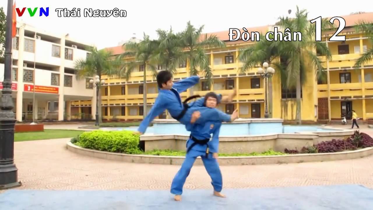 Vovinam - 21 đòn chân tấn công