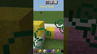 Comment What Should I Do Next